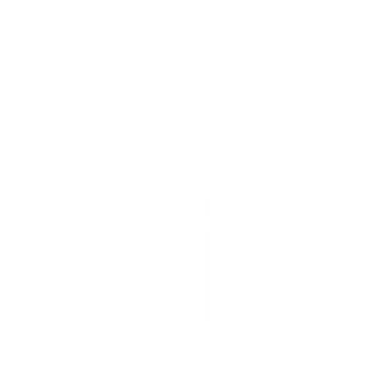 Logo LinkedIn blanc