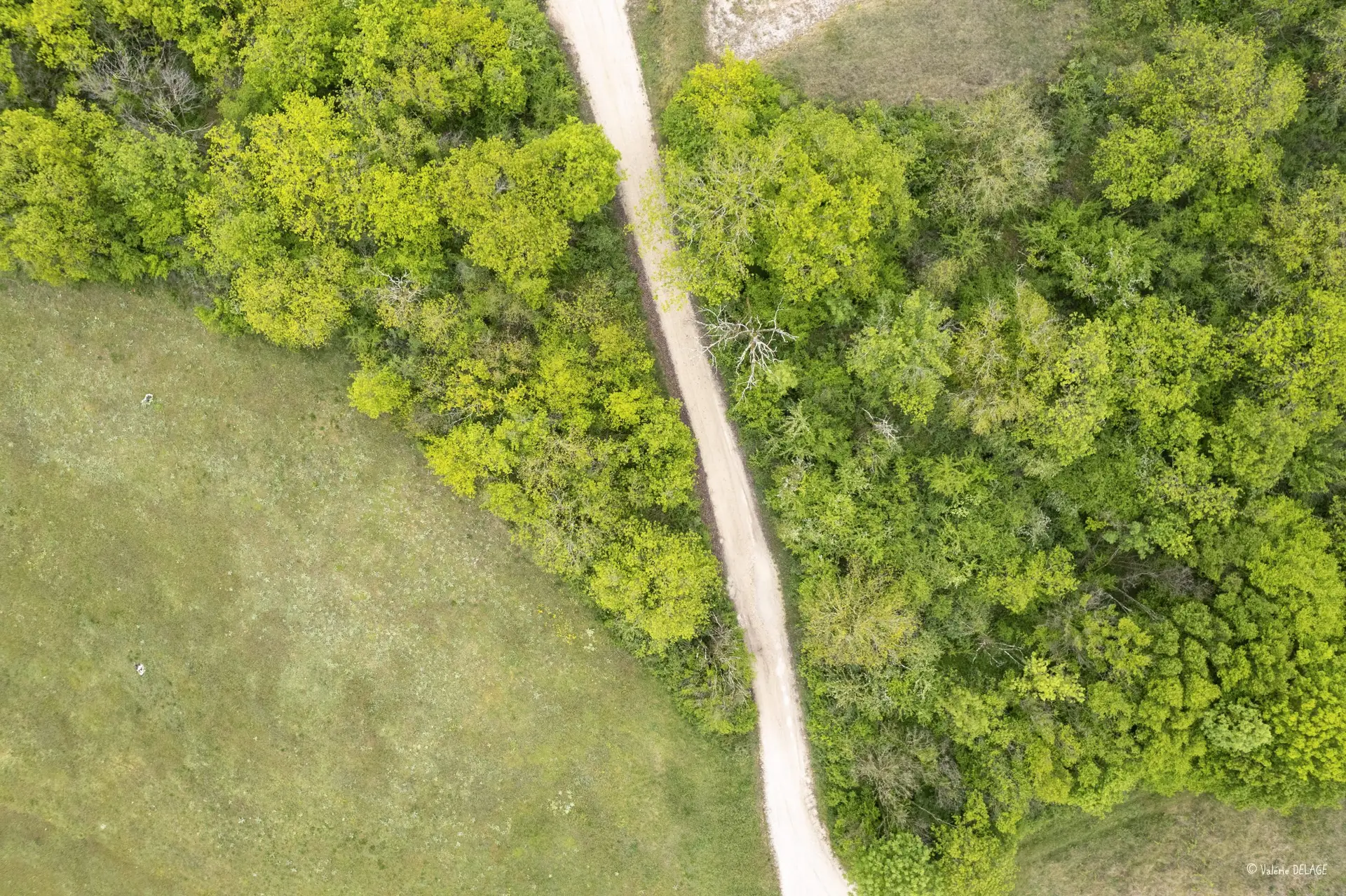 Acquisition de données et prise de vue par drone: Améliorer la compréhension et mieux agir localement.