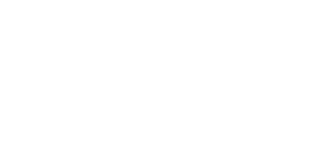 Logo Réseau Initiative Blanc