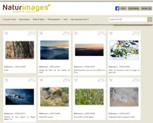 Photographie terrestre et sensibilisation - GYPS 360. Fournisseur de banques d’images - Banque d'images Naturimages